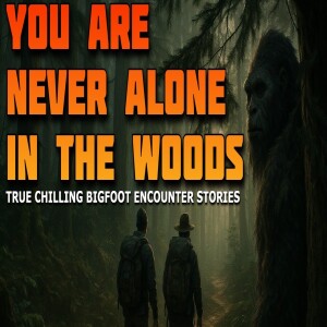 YOU ARE NEVER ALONE IN THE WOODS - TRUE CHILLING BIGFOOT ENCOUNTER STORIES