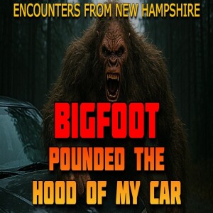 BIGFOOT POUNDED THE HOOD OF MY CAR - TRUE ENCOUNTERS FROM NEW HAMPSHIRE