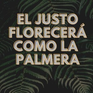 El Justo Florecerá Como La Palmera