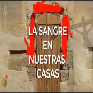 La Sangre En Nuestras Casas