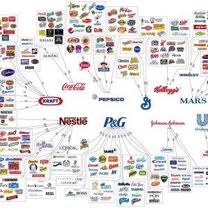 Decoding The Food System: A Critical Look