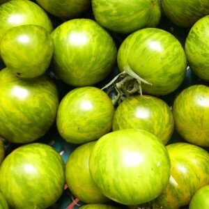 So klappt es mit dem Anbau von Tomaten