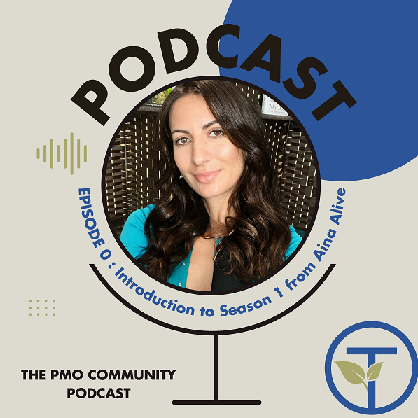 The PMO Strategy and Execution Hub Podcast