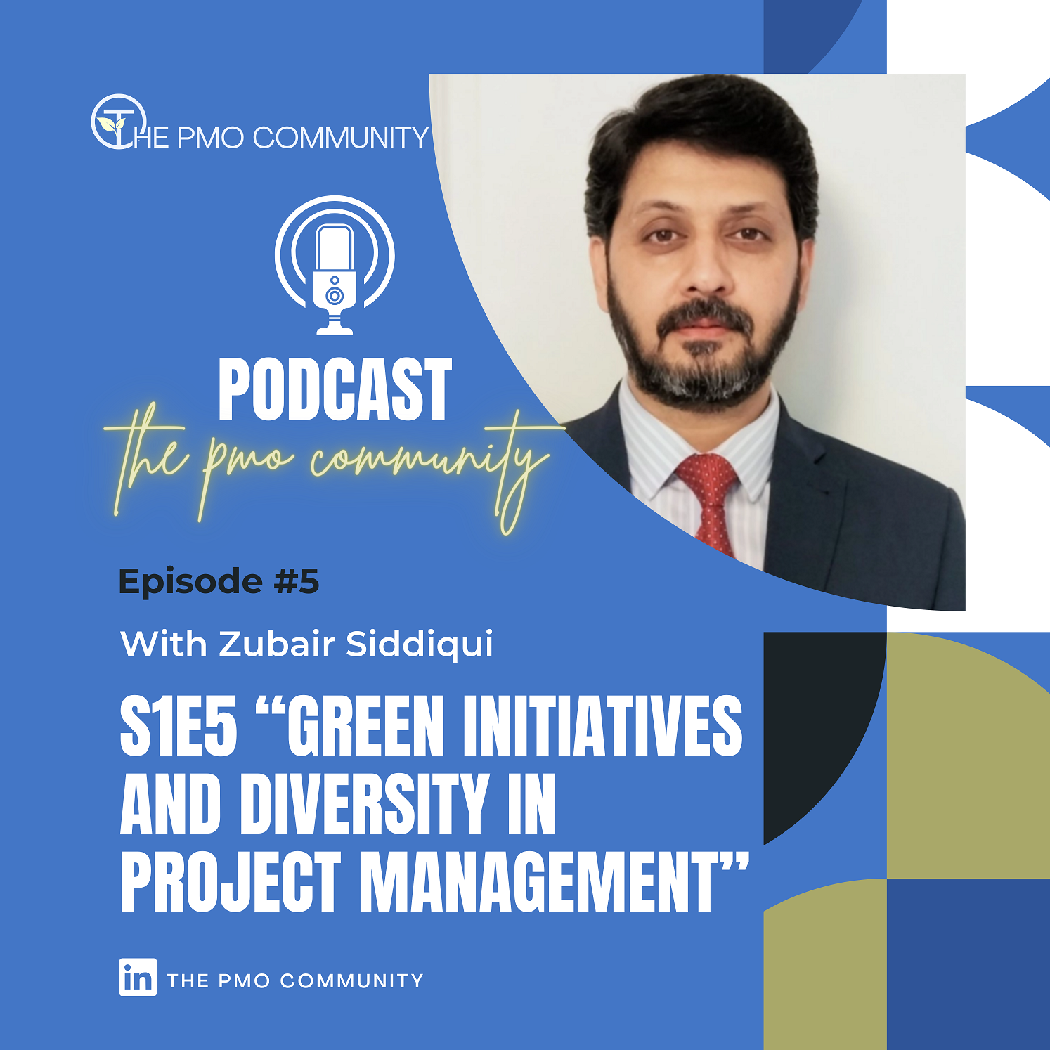 The PMO Strategy and Execution Hub Podcast