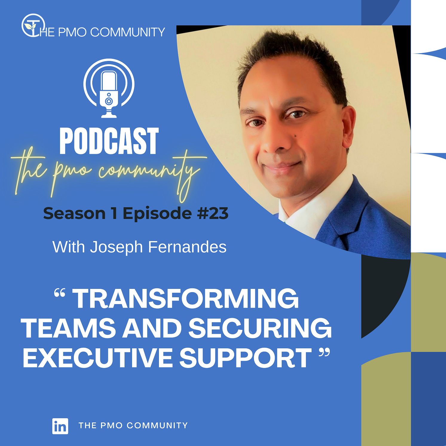 The PMO Strategy and Execution Hub Podcast