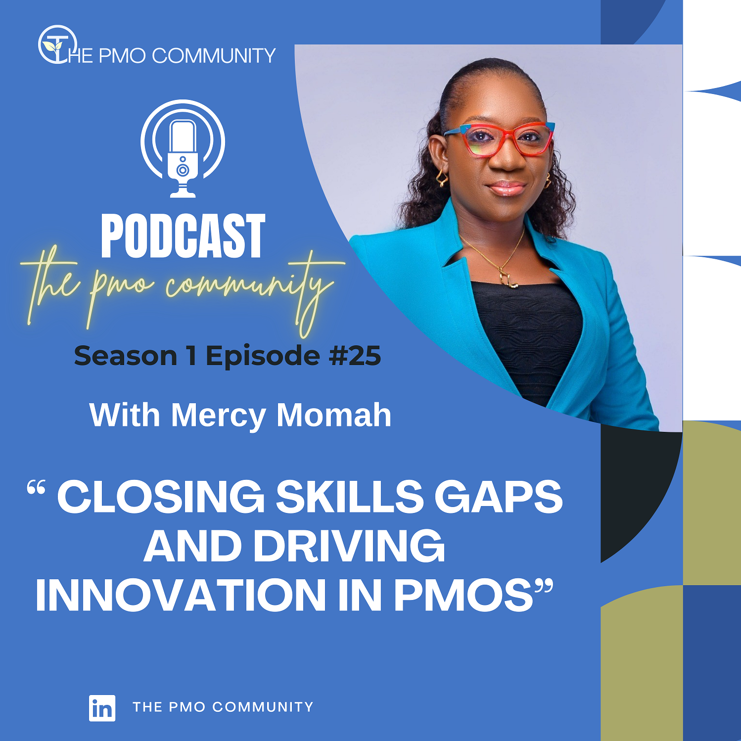 The PMO Strategy and Execution Hub Podcast