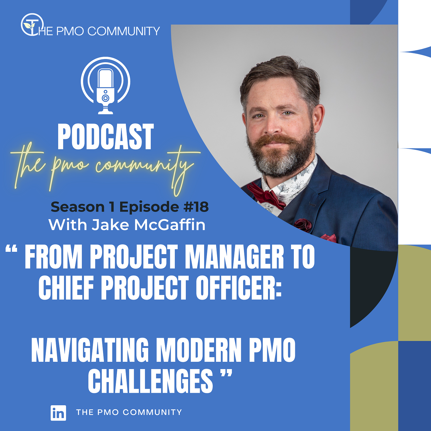 The PMO Strategy and Execution Hub Podcast
