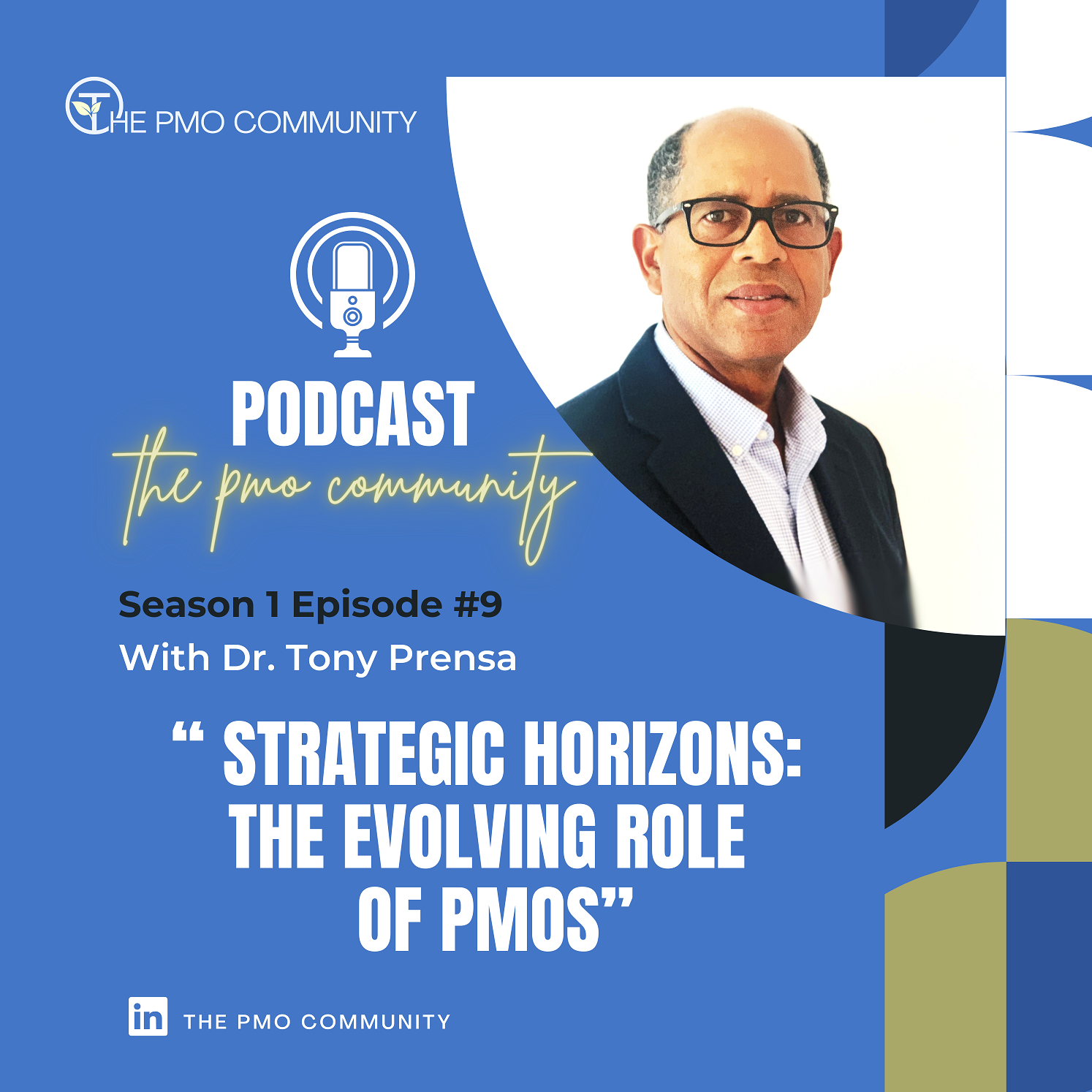 The PMO Strategy and Execution Hub Podcast