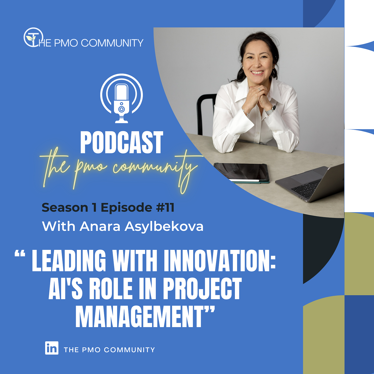 The PMO Strategy and Execution Hub Podcast