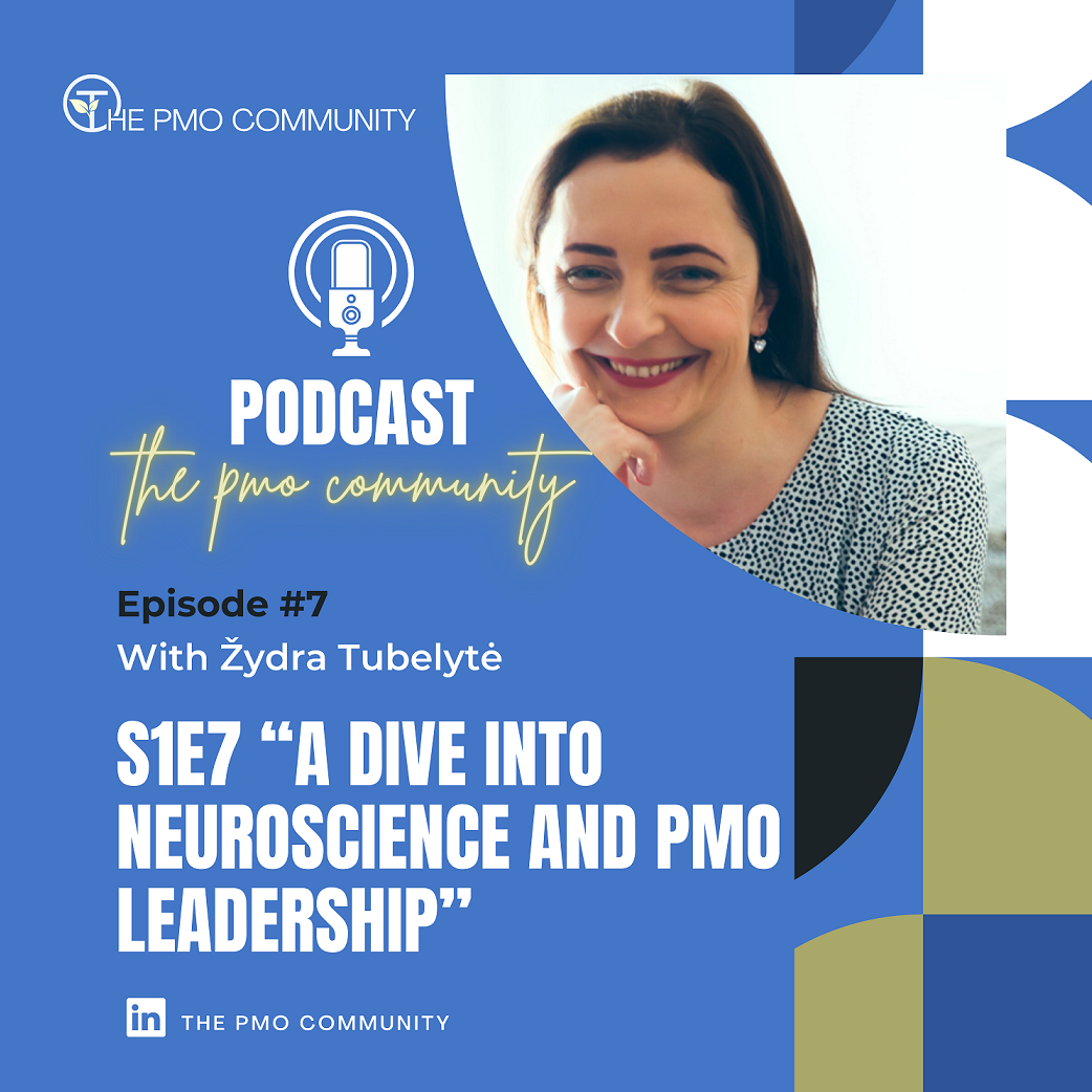 The PMO Strategy and Execution Hub Podcast