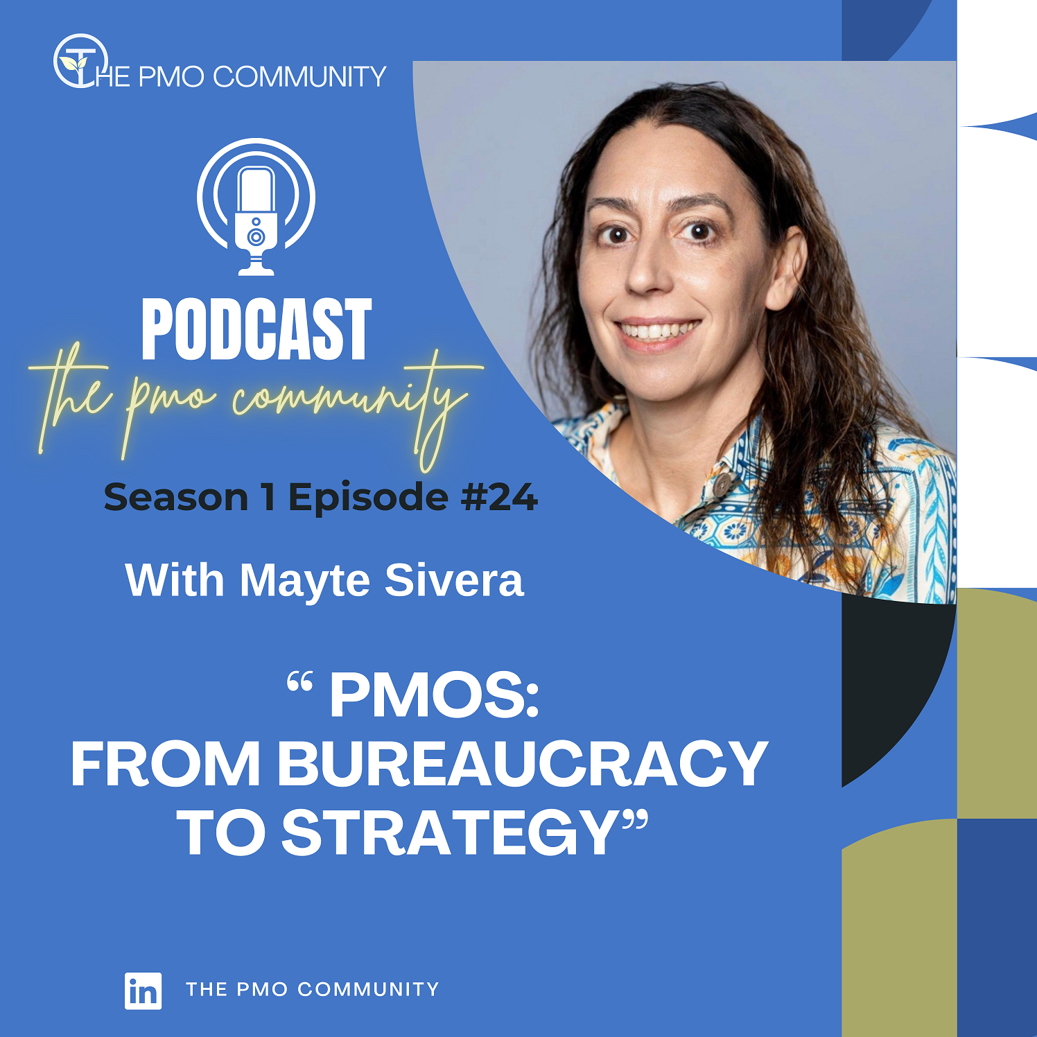 The PMO Strategy and Execution Hub Podcast