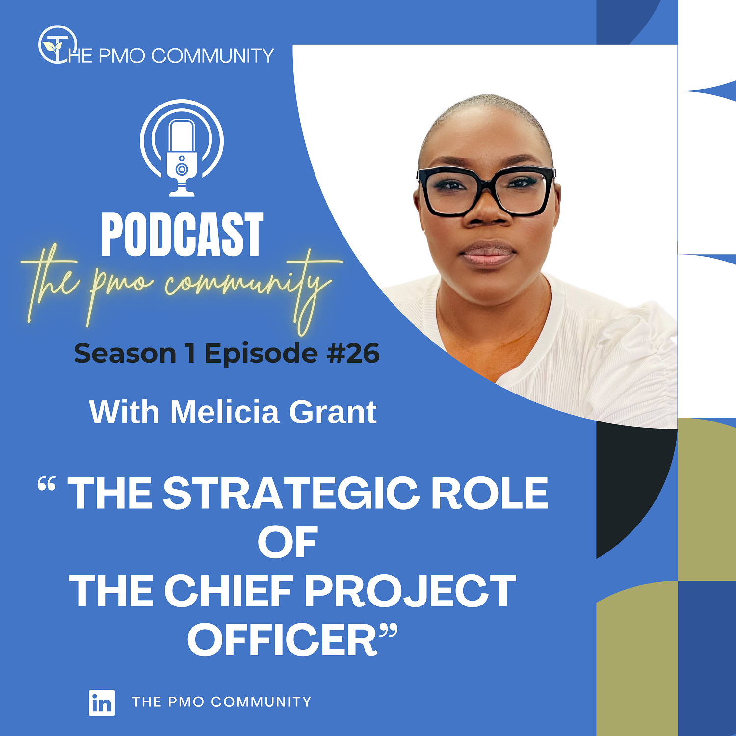 The PMO Strategy and Execution Hub Podcast