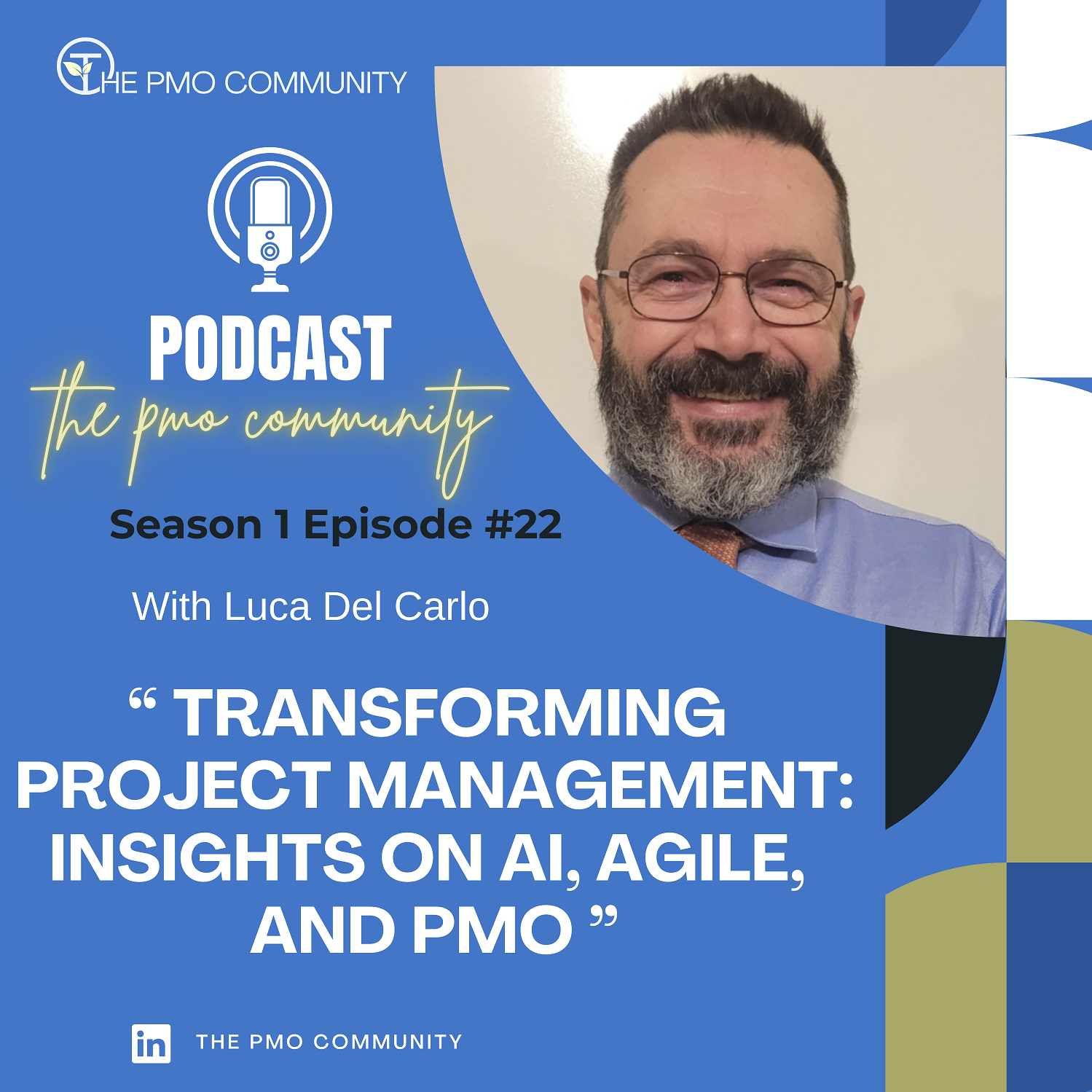 The PMO Strategy and Execution Hub Podcast