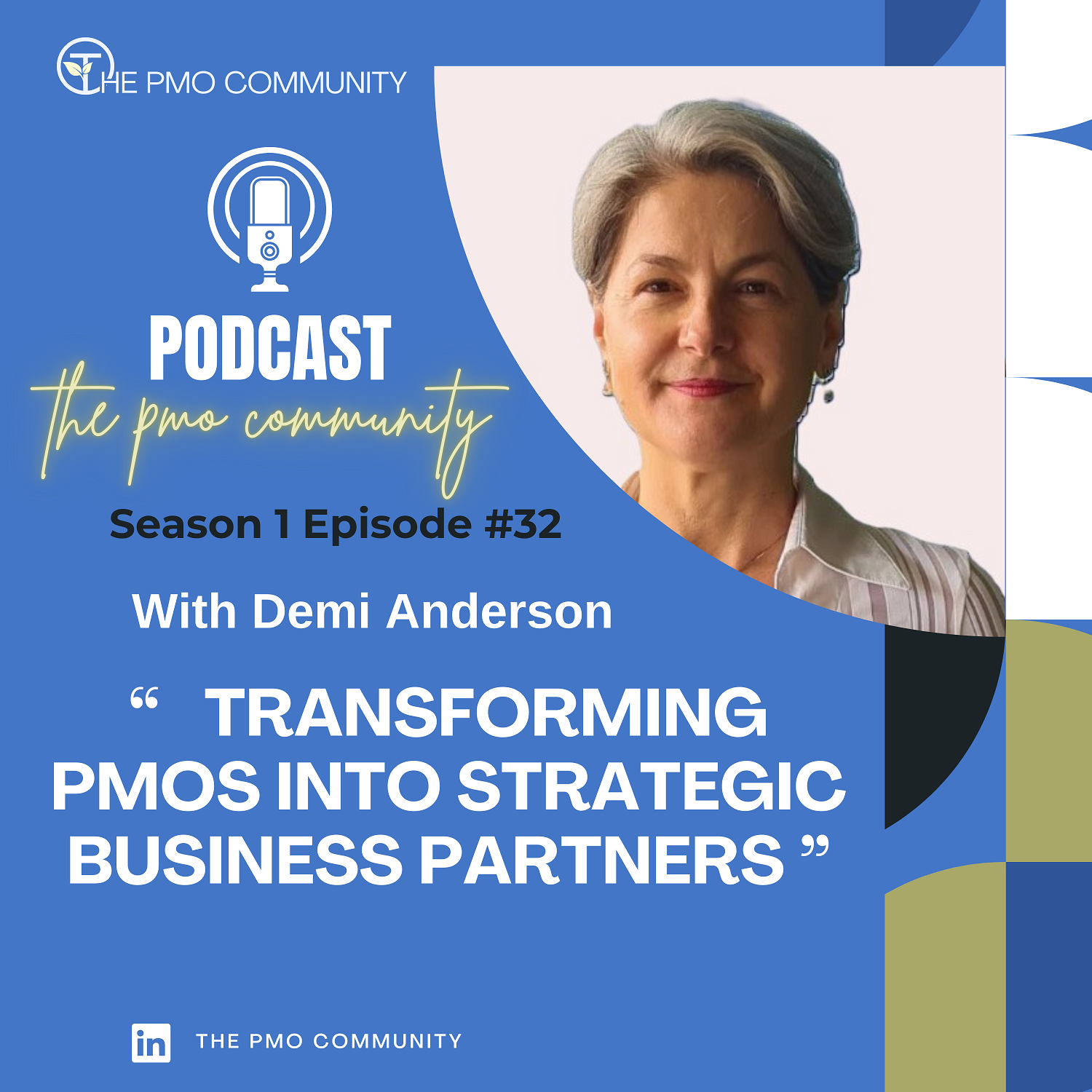 The PMO Strategy and Execution Hub Podcast