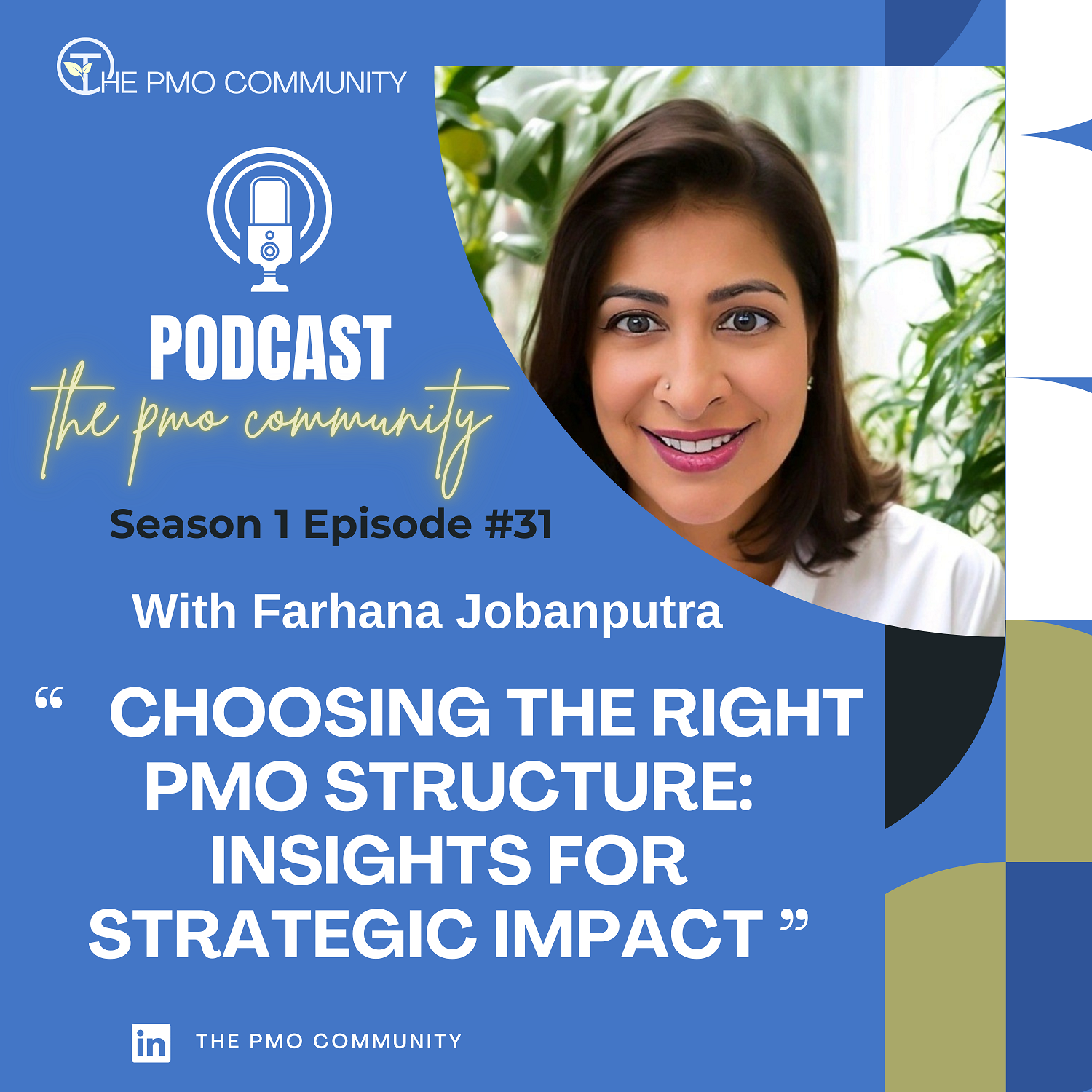 The PMO Strategy and Execution Hub Podcast