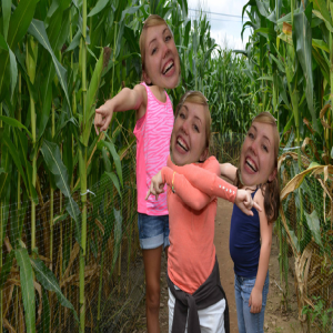 Shelley Has Opinions Episode 59: Corn Mazes