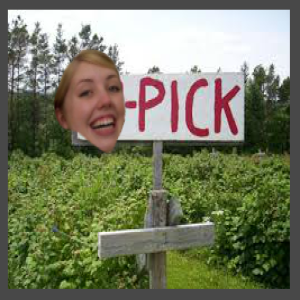 Shelley Has Opinions Episode 64: U-Pick Fruit Farms