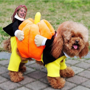 Shelley Has Opinions Episode 112: Doggie Costumes