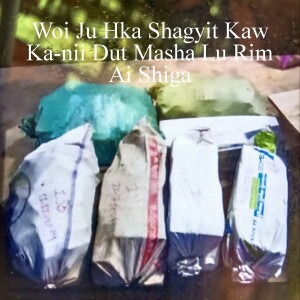 12 November 2024 laiza TV Buga Shiga