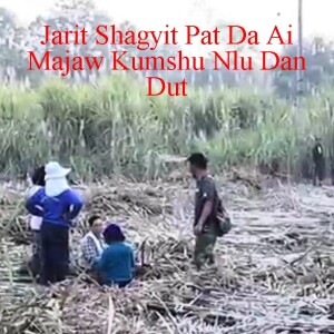 14 November 2024 Laiza TV Buga Shiga