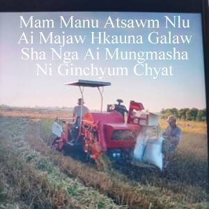5 January 2025 Laiza TV Buga Shiga