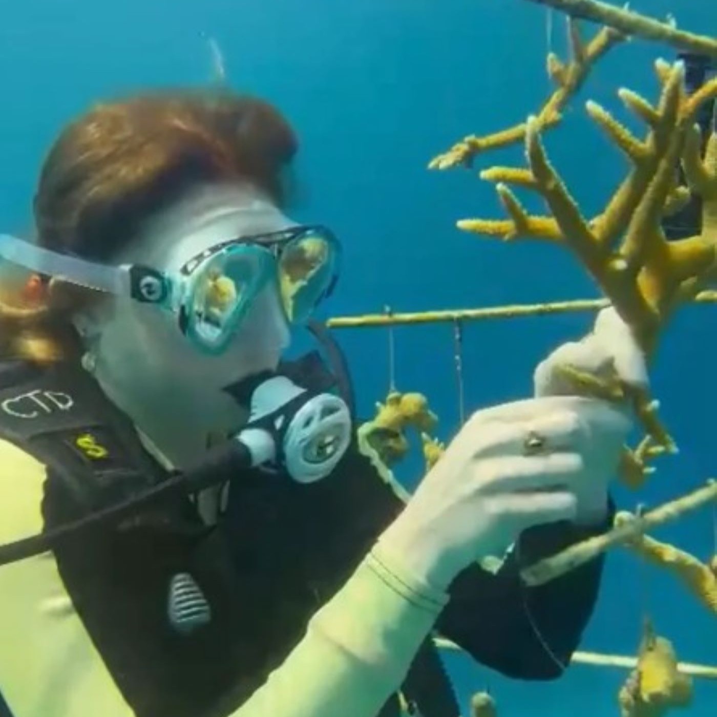 Save Sea Life