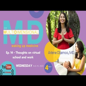 Ep. 14 - Thoughts on Virtual School and Work - The MultiDimensional MD