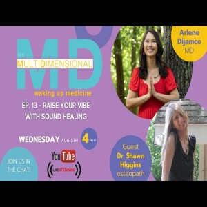Ep. 13 - Sound Healing with Dr. Shawn Marie Higgins - on The MultiDimensional MD