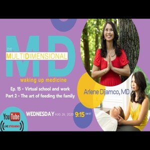 Ep. 15 - Virtual School and Work, Part 2, The Art of Feeding the Family — The MultiDimensional MD
