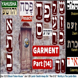 S18:E24 - Garment [14] - Shew thyself to The Priest