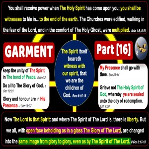 S18:E26 - Garment [16] Wash or Burn The Garment ?