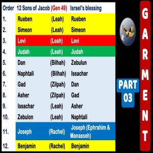 S18:E13 -  Garment [03] Separation