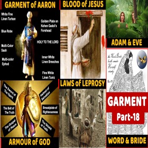 S18:E28 - Garment [18] Ye are not all clean