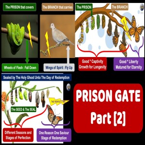 S18:E44 - Prison Gate [2] The Seed and The Seal