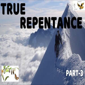 S18:E38 - True Repentance [03] The Power of Reconciliation