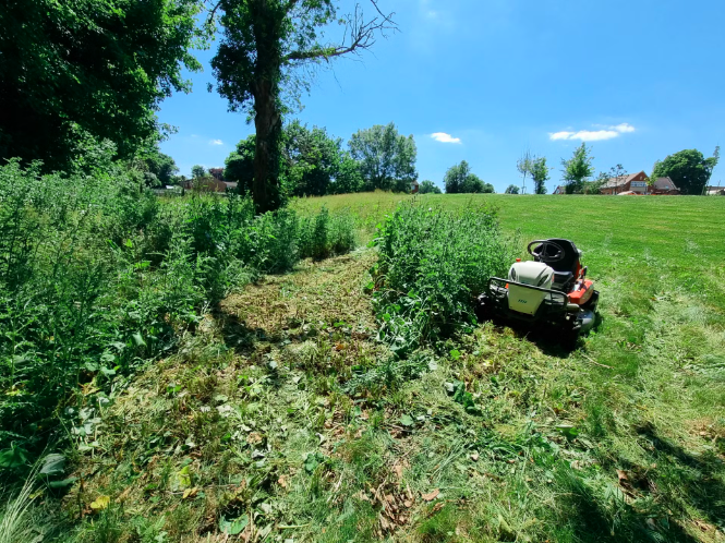 Grass Cutting Services