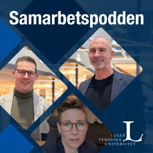 Avsnitt 4: Hur kan feedback användas för att utveckla team?