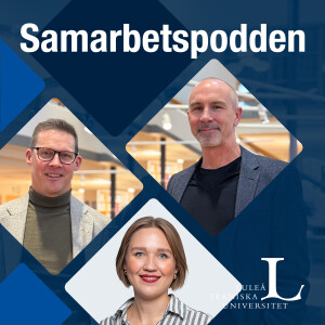 Avsnitt 17: Hur skapa jämlika team?