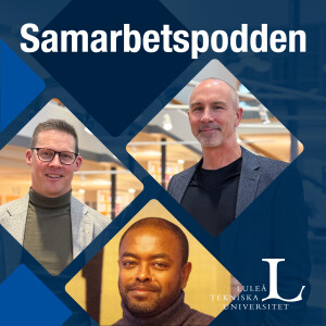 Avsnitt 14: Hur kommunicera i ett team?