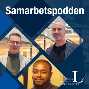 Avsnitt 16: Vilken betydelse har kultur, normer och värderingar i ett team?