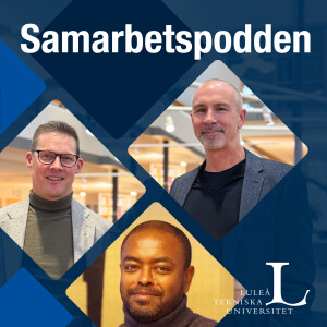 Avsnitt 15: Vilka roller och funktioner behövs i ett team?
