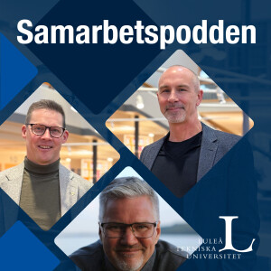 Avsnitt 13: Vad innebär entreprenöriella förmågor och entreprenöriellt ledarskap i ett teamkontext?