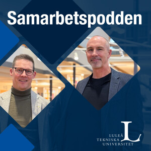 Avsnitt 2: Vad är ett välfungerande och effektivt team?