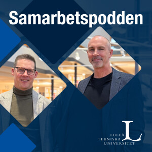 Avsnitt 20: En självstudiekurs om välfungerande och effektiva team
