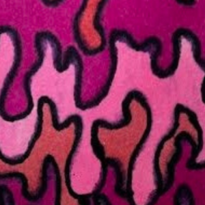 The Color Pink - Mara Flores