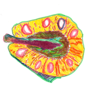 Jackfruit - Nora Cowles