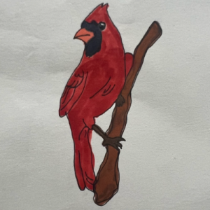 Cardinals - Christian Lacayo