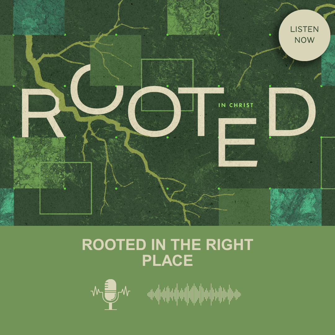 Rooted: Rooted in the Right Place