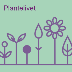 9. Plantelivet. Plantelivet er en af 10 meditative øvelser som guider dig til ro i bynaturen
