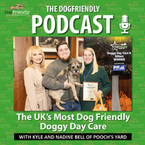The Uk's Most Dog Friendly Doggy Daycare